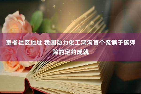 草榴社区地址 我国动力化工鸿沟首个聚焦于碳萍踪的定约成就