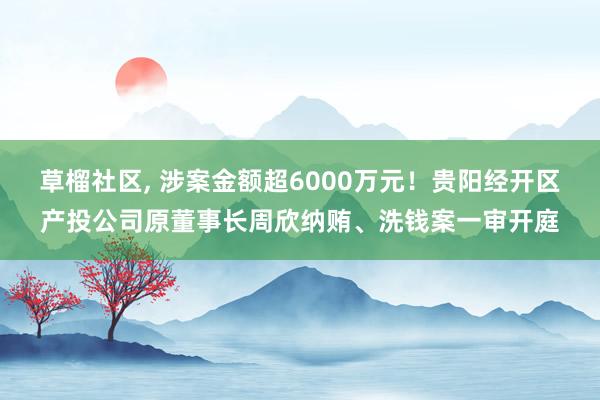 草榴社区， 涉案金额超6000万元！贵阳经开区产投公司原董事长周欣纳贿、洗钱案一审开庭