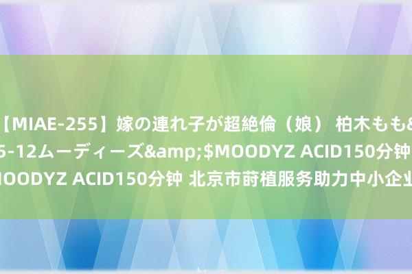 【MIAE-255】嫁の連れ子が超絶倫（娘） 柏木もも</a>2018-05-12ムーディーズ&$MOODYZ ACID150分钟 北京市莳植服务助力中小企业发展