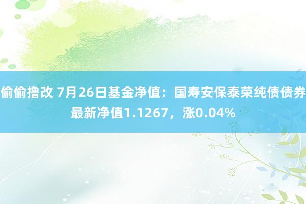 偷偷撸改 7月26日基金净值：国寿安保泰荣纯债债券最新净值1.1267，涨0.04%