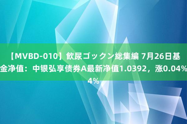 【MVBD-010】飲尿ゴックン総集編 7月26日基金净值：中银弘享债券A最新净值1.0392，涨0.04%