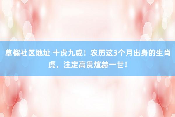 草榴社区地址 十虎九威！农历这3个月出身的生肖虎，注定高贵煊赫一世！