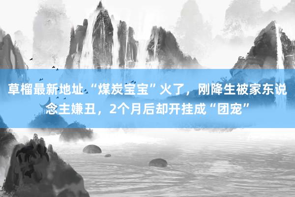 草榴最新地址 “煤炭宝宝”火了，刚降生被家东说念主嫌丑，2个月后却开挂成“团宠”