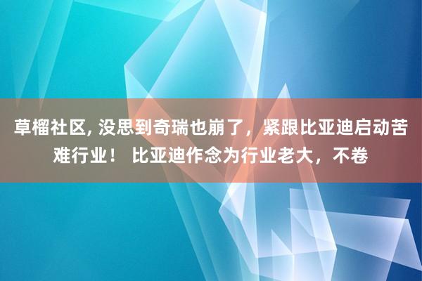 草榴社区， 没思到奇瑞也崩了，紧跟比亚迪启动苦难行业！ 比亚迪作念为行业老大，不卷