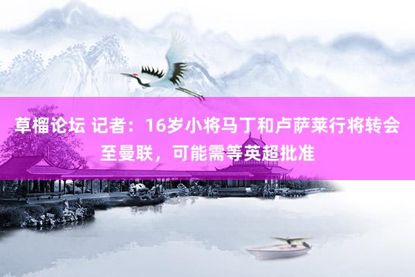 草榴论坛 记者：16岁小将马丁和卢萨莱行将转会至曼联，可能需等英超批准