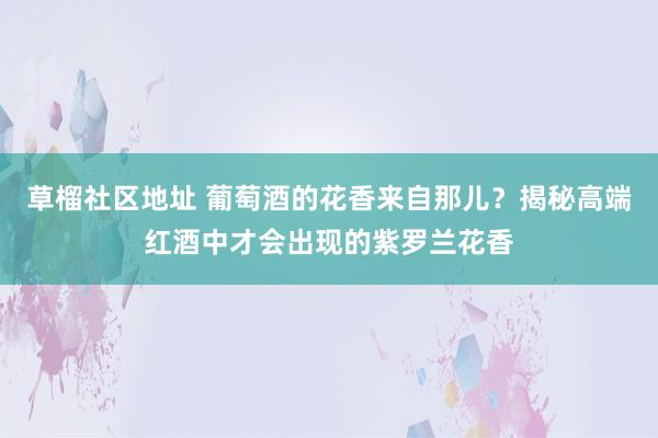 草榴社区地址 葡萄酒的花香来自那儿？揭秘高端红酒中才会出现的紫罗兰花香