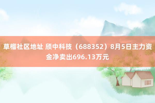 草榴社区地址 颀中科技（688352）8月5日主力资金净卖出696.13万元