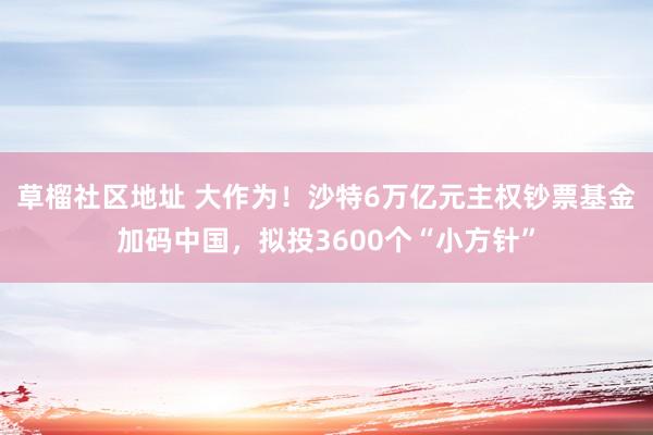 草榴社区地址 大作为！沙特6万亿元主权钞票基金加码中国，拟投3600个“小方针”