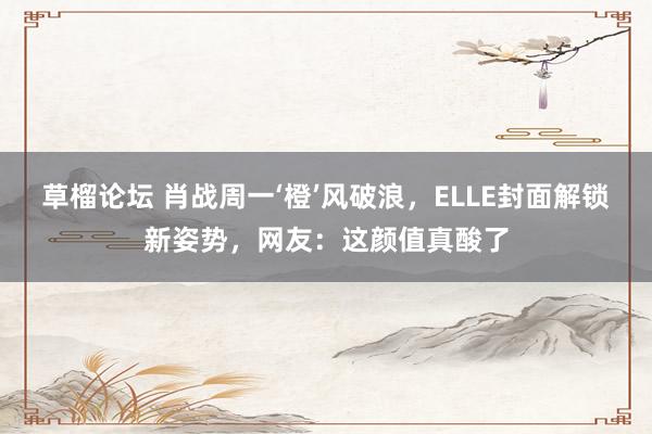 草榴论坛 肖战周一‘橙’风破浪，ELLE封面解锁新姿势，网友：这颜值真酸了