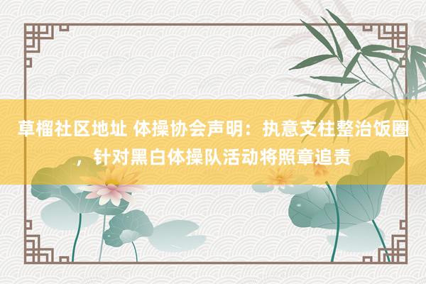 草榴社区地址 体操协会声明：执意支柱整治饭圈，针对黑白体操队活动将照章追责