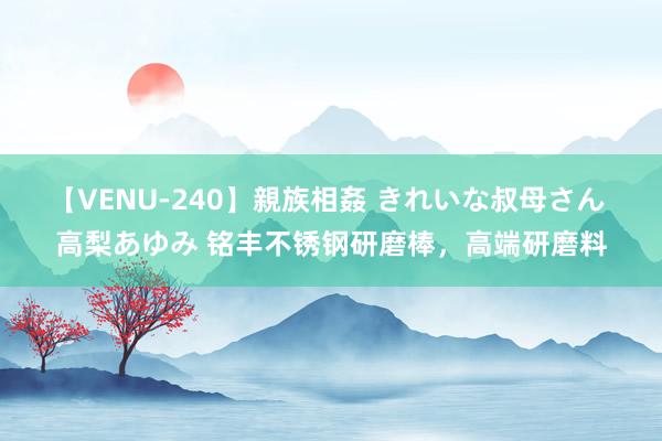 【VENU-240】親族相姦 きれいな叔母さん 高梨あゆみ 铭丰不锈钢研磨棒，高端研磨料