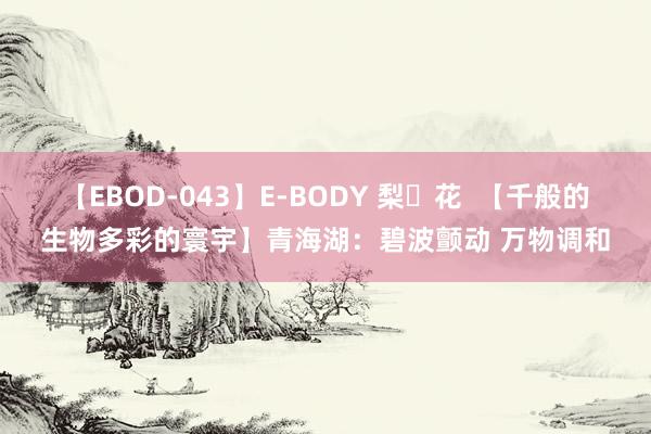 【EBOD-043】E-BODY 梨々花  【千般的生物多彩的寰宇】青海湖：碧波颤动 万物调和