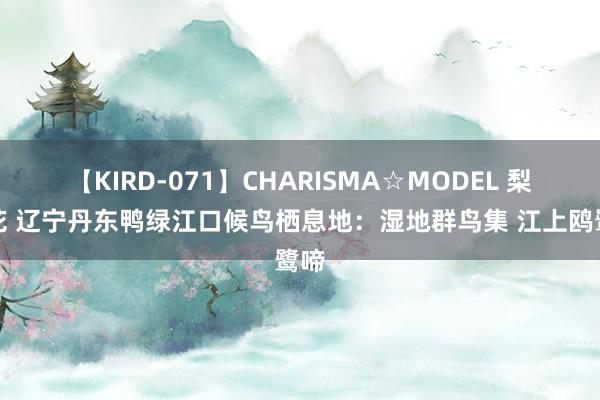 【KIRD-071】CHARISMA☆MODEL 梨々花 辽宁丹东鸭绿江口候鸟栖息地：湿地群鸟集 江上鸥鹭啼