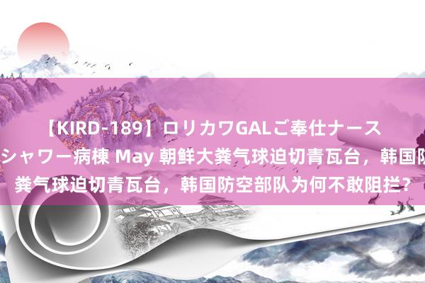 【KIRD-189】ロリカワGALご奉仕ナース 大量ぶっかけザーメンシャワー病棟 May 朝鲜大粪气球迫切青瓦台，韩国防空部队为何不敢阻拦？