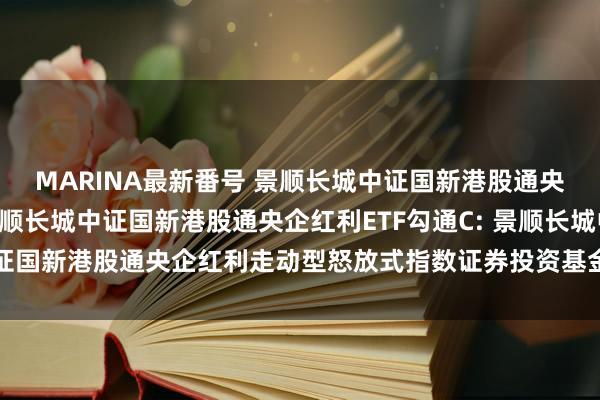 MARINA最新番号 景顺长城中证国新港股通央企红利ETF勾通A，景顺长城中证国新港股通央企红利ETF勾通C: 景顺长城中证国新港股通央企红利走动型怒放式指数证券投资基金勾通基金基金居品贵府提要