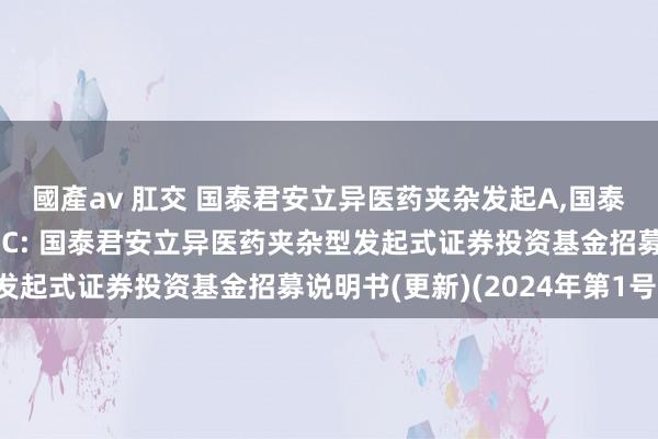 國產av 肛交 国泰君安立异医药夹杂发起A，国泰君安立异医药夹杂发起C: 国泰君安立异医药夹杂型发起式证券投资基金招募说明书(更新)(2024年第1号)