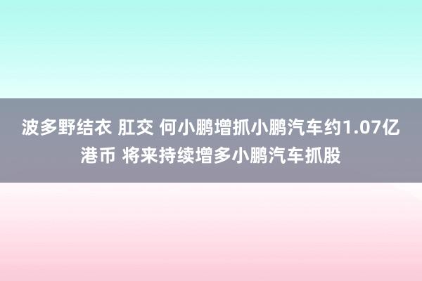 波多野结衣 肛交 何小鹏增抓小鹏汽车约1.07亿港币 将来持续增多小鹏汽车抓股