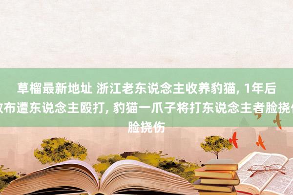 草榴最新地址 浙江老东说念主收养豹猫， 1年后散布遭东说念主殴打， 豹猫一爪子将打东说念主者脸挠伤