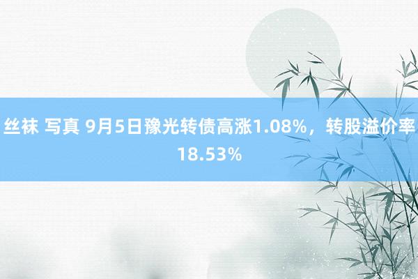 丝袜 写真 9月5日豫光转债高涨1.08%，转股溢价率18.53%