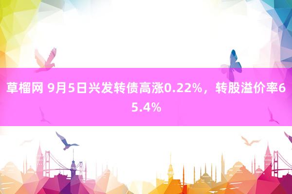 草榴网 9月5日兴发转债高涨0.22%，转股溢价率65.4%