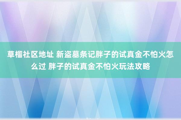 草榴社区地址 新盗墓条记胖子的试真金不怕火怎么过 胖子的试真金不怕火玩法攻略