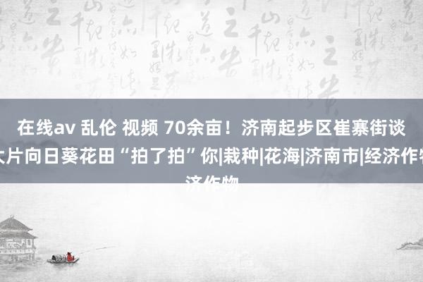 在线av 乱伦 视频 70余亩！济南起步区崔寨街谈大片向日葵花田“拍了拍”你|栽种|花海|济南市|经济作物