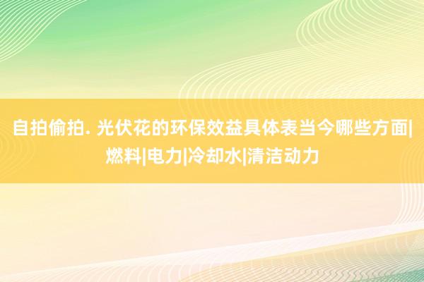 自拍偷拍. 光伏花的环保效益具体表当今哪些方面|燃料|电力|冷却水|清洁动力