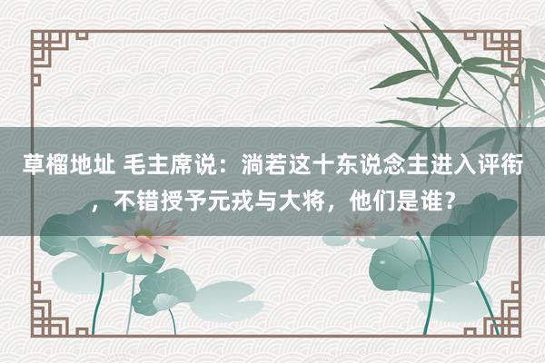 草榴地址 毛主席说：淌若这十东说念主进入评衔，不错授予元戎与大将，他们是谁？